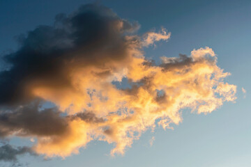 blue sky with a large cumulus cloud illuminated by the evening setting sun as a natural background
