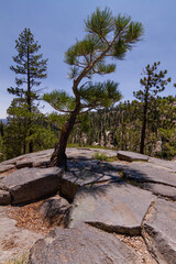 Columns at Devil's postpile national monument