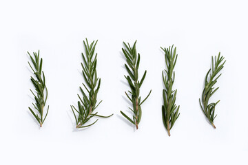 Fresh rosemary on white background.