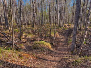 Earthquake Park in Anchorage, Alaska preserves the site of major Ground shifting