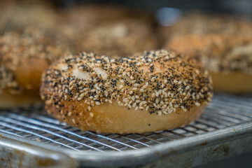 Close-up of freshly baked bagels with seeds on top.