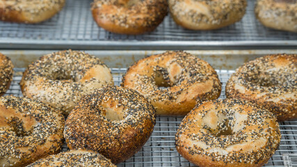 Close-up of freshly baked bagels with seeds on top.