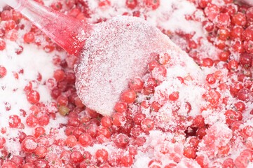 red currants covered with granulated sugar for cooking jam with a spatula in a saucepan