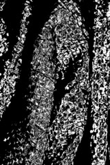 Abstract background. Monochrome texture. Image includes a effect the black and white tones.