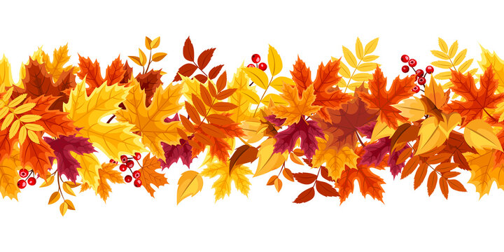 Vector horizontal seamless border with red, orange, yellow, purple and brown autumn leaves.