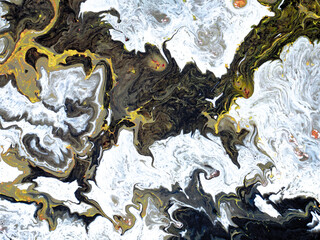 Abstract Colorful Marble Forms for Creative Designs Made with Liquid Acrylic Paint in Motion.