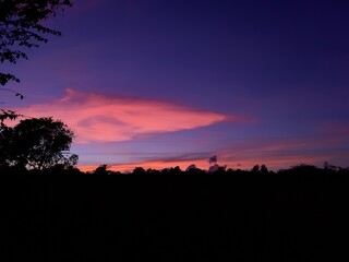 sunset in the forest