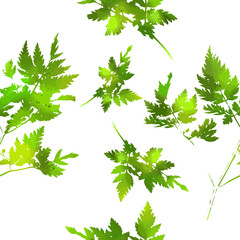 Seamless background green leaves. Print for fabric. Vector illustration
