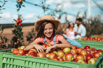 Cute little girl enjoying while picking apples in orchard. Her parents are in background.