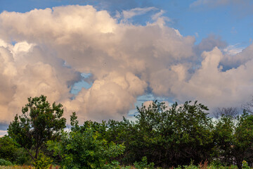 Cloudy summer evening in the Azov region