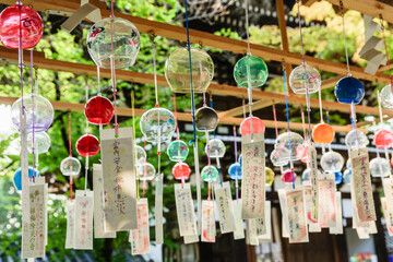 Fototapeta premium 夏の風物詩 風鈴 