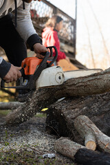 Hombre  Y mujer cortando troncos con motosierra junto a fog&oacute;n un d&iacute;a de campo