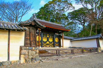 Fototapeta premium 醍醐寺