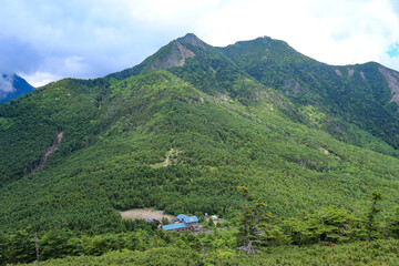 	南八ヶ岳　編笠山登山道から権現岳を望む