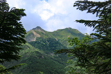 	南八ヶ岳　編笠山登山道から権現岳を望む