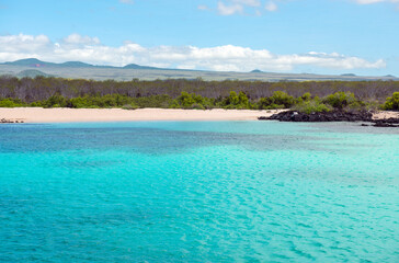 Galapagos coral reef and beach by North Seymour Island famous for snorkeling, Galapagos national park, Ecuador.