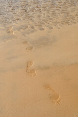 Fototapeta na wymiar Footsteps or footprints on the beach