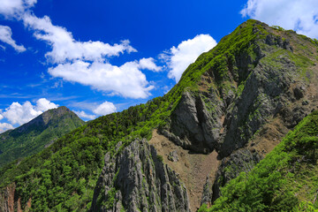 南八ヶ岳　権現岳山頂への道　権現岳西峰