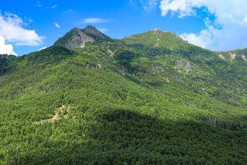 Fototapeta premium 南八ヶ岳 編笠山登山道から権現岳を望む