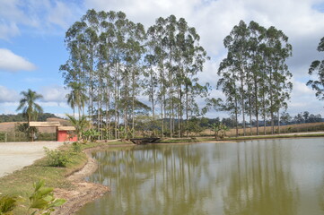 lake in the park