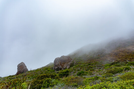 landscape with fog