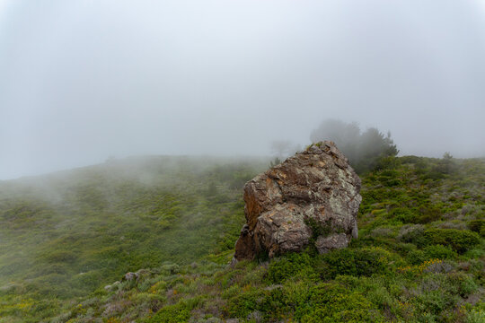 fog in the mountains