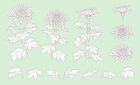 一輪の花 の画像 33 678 件の Stock 写真 ベクターおよびビデオ Adobe Stock