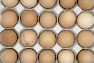 Chicken eggs on white background.