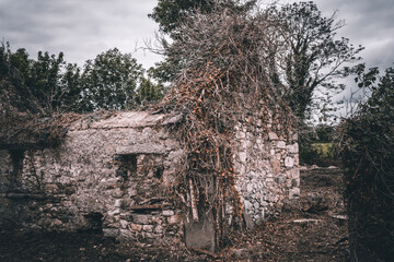 old house in the forest
