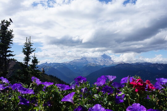 View of Mount Rainier in Washington State