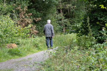 walking in the garden