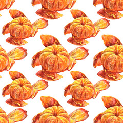 Seamless pattern watercolor citrus fruit orange peel the tangerine on white background. Hand-drawn food for winter or summer, christmas object for menu, wrapping, wallpaper, notebook, cafe