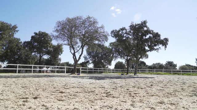 Empty sand paddock surrounded by white fences. Low angle view, panning shot