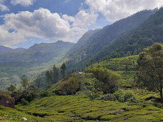 Fototapeta premium Valleys of India