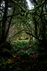 Naklejka premium Landscape and nature 