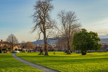 autumn in the park