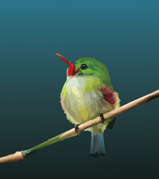 Jamaican Tody isolated dark background  rasta bird