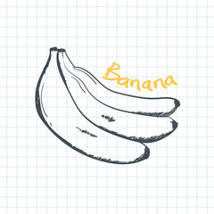 Banana icon in doodle sketch