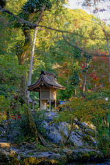 京都 上賀茂神社 秋色の境内風景