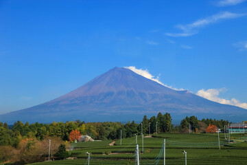 Beautiful Mount Fuji with Nature background and blue sky., japan.