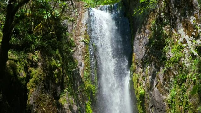 Beautiful greenery frames a spectacular 100 foot waterfall as it plunges over the edge of a canyon to splash on the rocks below. Tilt down with audio.