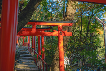 Fototapeta premium 京都 二葉姫稲荷神社の参道風景