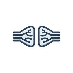 Fototapeta premium Color illustration icon for nerve 