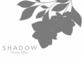 Shadow overlay effect. Transparent soft light and shadows from plant branches, leaves and foliage.