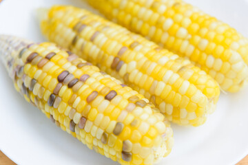 Closeup to white boiled corn in white dish