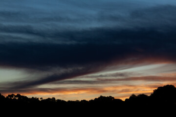 Fototapeta premium sunset over forest