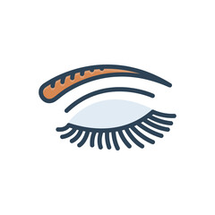 Color illustration icon for eye lashes brow