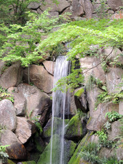 庭園の滝