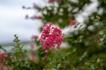 石川県金沢市にある石浦神社周辺の風景 Scenery around Ishiura Shrine in Kanazawa City, Ishikawa Prefecture, Japan.