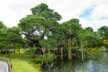 石川県金沢市にある兼六園周辺の風景 Scenery around Kenrokuen Garden in Kanazawa...